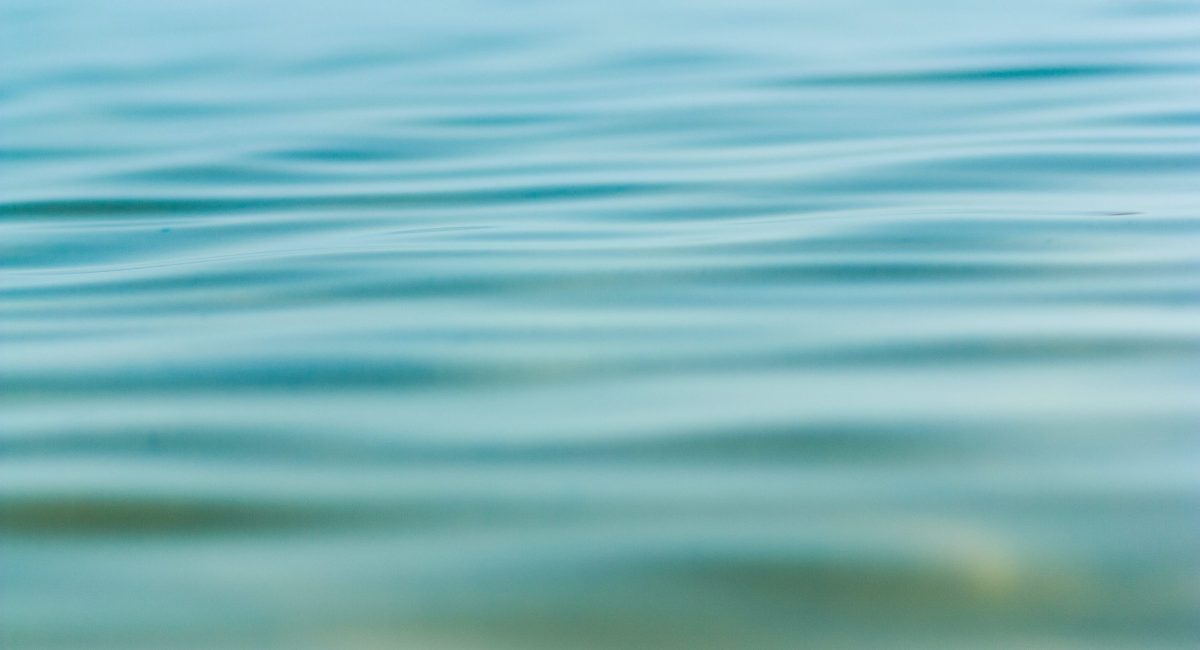 lavi-perchik-7cMEUKtfxdU-unsplash